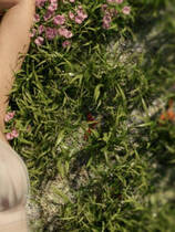 A1744 - 女神的最佳交易 My Best Deal v3.4.20240929-PC+安卓 免安装中文版[6.72GB]