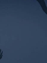 A1439 - 诅咒游侠 Curse Errant v1.12+DLC 免安装中文版[727MB]